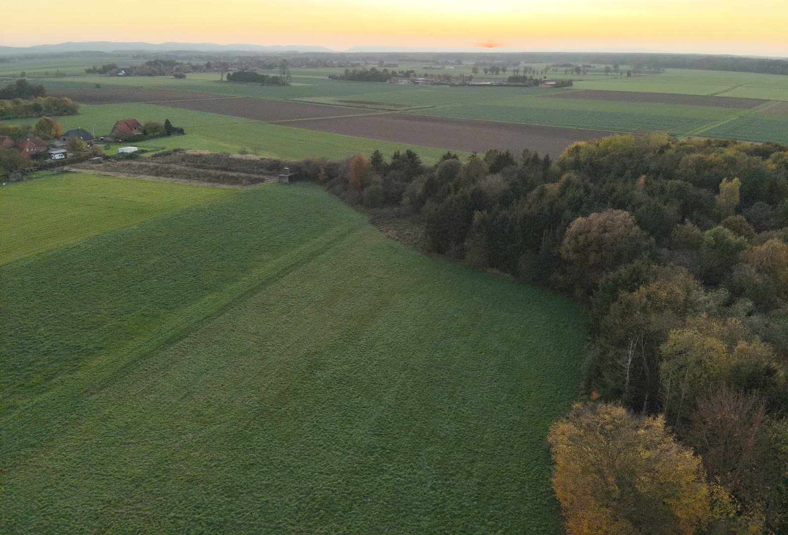 Felder und Wald im Abendlicht aus der Luft